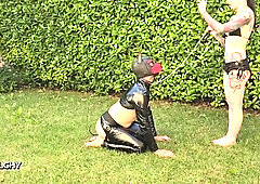 Puppy play