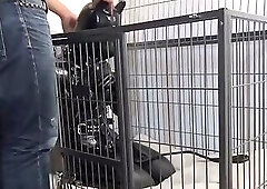 Breath Control of Female Pet in Cage