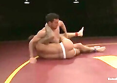 Casey the Mangler More Vs Rod the Real Deal Daily