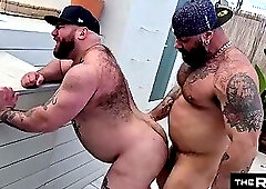 148. Bears Having Fun Outside