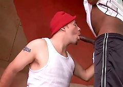 White boy blow and smash his first-ever big black cock